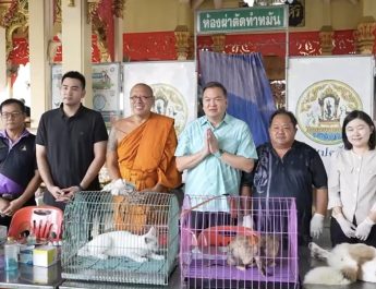 นครปฐม  วัดไผ่ล้อมฯ ร่วมมือปศุสัตว์ เทศบาลนครนครปฐม จัดทำหมัน วัคซีนพิษสุนัขบ้า ฟรี